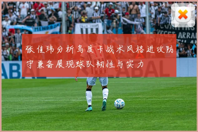 张佳玮分析乌度卡战术风格进攻防守兼备展现球队韧性与实力