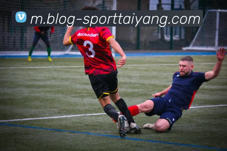 太阳城品牌故事